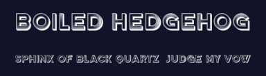 Boiled Hedgehog by Vladimir Nikolic — Sans Serif Font — thumbnail 2