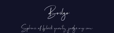 Boilgo by Vultype — Script Handwritten Font — thumbnail 2