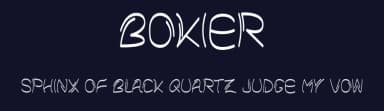 Bokier by Nulis CRTV — Script Handwritten Font — thumbnail 2