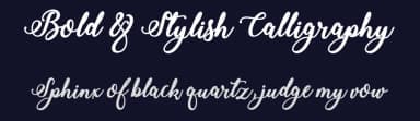 Bold & Stylish Calligraphy by Misti's Fonts — Script Handwritten Font — thumbnail 2