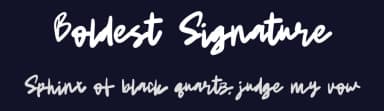 Boldest Signature by Pustudio — Script Handwritten Font — thumbnail 2