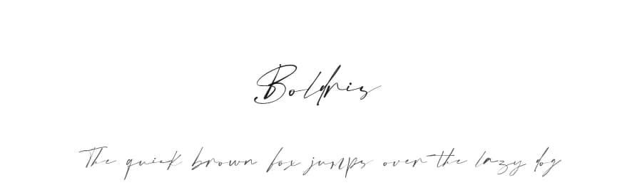 Boldris by Vultype — Script Handwritten Font