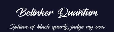 Bolinker Quantum by Letterena Studios — Script Handwritten Font — thumbnail 2