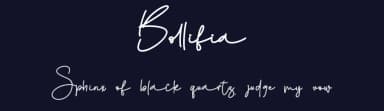 Bollifia by Letterara — Script Handwritten Font — thumbnail 2