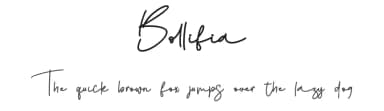 Bollifia by Letterara — Script Handwritten Font — thumbnail 1