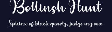 Bollinsh Hunt by Ditoollis Project — Script Handwritten Font — thumbnail 2