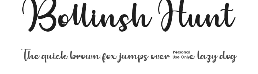 Bollinsh Hunt by Ditoollis Project — Script Handwritten Font