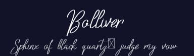 Bolliver by Edric Studio — Script Handwritten Font — thumbnail 2