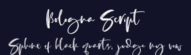 Bologna Script by Abo Daniel Studio — Script Handwritten Font — thumbnail 2