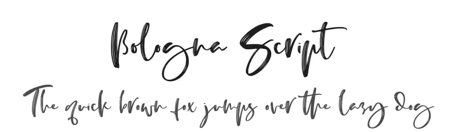Bologna Script by Abo Daniel Studio — Script Handwritten Font