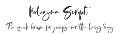Bologna Script by Abo Daniel Studio — Script Handwritten Font — thumbnail 1