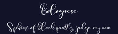 Bolognese by Noftanti Studio — Script Handwritten Font — thumbnail 2