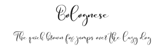Bolognese by Noftanti Studio — Script Handwritten Font
