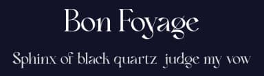 Bon Foyage by Dharmas Foundry — Serif Font — thumbnail 2