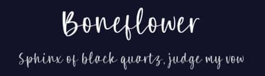 Boneflower by Letterative Studio — Script Handwritten Font — thumbnail 2