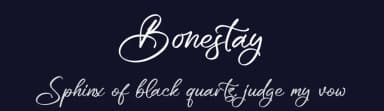 Bonestay by Letterena Studios — Script Handwritten Font — thumbnail 2
