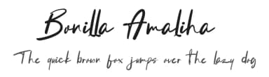 Bonilla Amaliha by Milea Sajojo — Script Handwritten Font — thumbnail 1