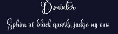 Boninter by Scratchones — Script Handwritten Font — thumbnail 2