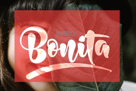 Bonita Font by JorseType — Script Handwritten Font — preview 1