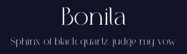 Bonita by Tokopress — Serif Font — thumbnail 2