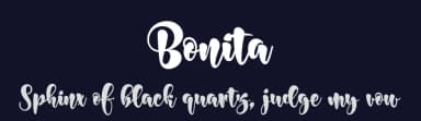 Bonita by Roy Jorse — Script Handwritten Font — thumbnail 2