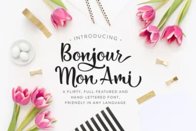 Bonjour Mon Ami Font by Laura Bolter Design — Script Handwritten Font — thumbnail 1
