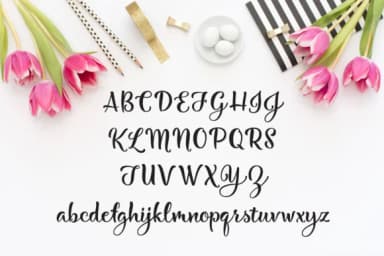 Bonjour Mon Ami Font by Laura Bolter Design — Script Handwritten Font — thumbnail 2