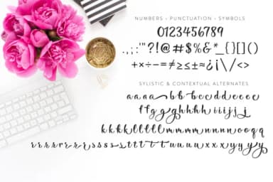 Bonjour Mon Ami Font by Laura Bolter Design — Script Handwritten Font — thumbnail 5