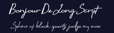 Bonjour De Jong Script by Wellscript Studio — Script Handwritten Font — thumbnail 2