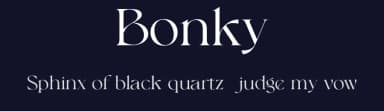 Bonky by Sansakerta — Serif Font — thumbnail 2