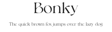 Bonky by Sansakerta — Serif Font — thumbnail 1