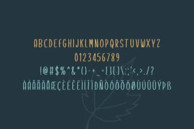 Bonrin Font by Instagram Fonts — Script Handwritten Font — thumbnail 5