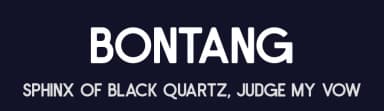 Bontang by Zuzulgo Studio — Sans Serif Font — thumbnail 2