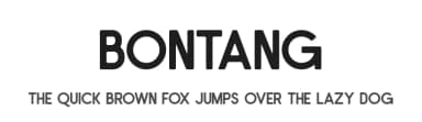 Bontang by Zuzulgo Studio — Sans Serif Font — thumbnail 1