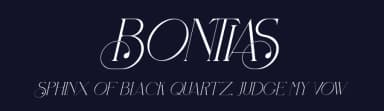 Bontias by Storytype Studio — Sans Serif Font — thumbnail 2