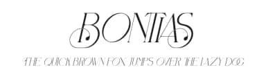 Bontias by Storytype Studio — Sans Serif Font — thumbnail 1