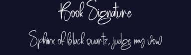 Book Signature by Scratchones — Script Handwritten Font — thumbnail 2