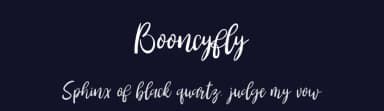 Booncyfly by Rayn Media — Script Handwritten Font — thumbnail 2