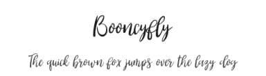 Booncyfly by Rayn Media — Script Handwritten Font — thumbnail 1