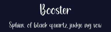 Booster by Erik Studio — Script Handwritten Font — thumbnail 2