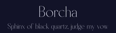 Borcha by Rmdndsign — Serif Font — thumbnail 2