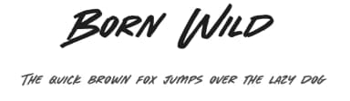 Born Wild by BLKBK Fonts — Script Handwritten Font — thumbnail 1