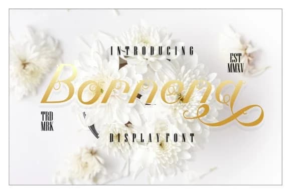 Bornena Font by putracetol — Script Handwritten Font
