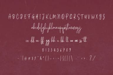 Borris Font by Maulana Creative — Script Handwritten Font — thumbnail 9