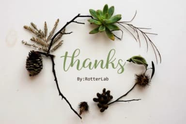 Boshella Script Font by rotterlabstudio — Script Handwritten Font — thumbnail 7