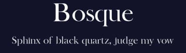 Bosque by Creative Lab — Serif Font — thumbnail 2