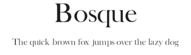 Bosque by Creative Lab — Serif Font — thumbnail 1