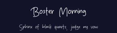 Boster Morning by MJType — Script Handwritten Font — thumbnail 2