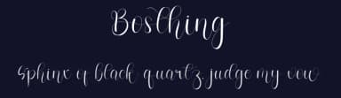 Bosthing by Inermedia Studio — Script Handwritten Font — thumbnail 2
