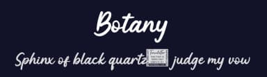 Botany by twinletter — Script Handwritten Font — thumbnail 2